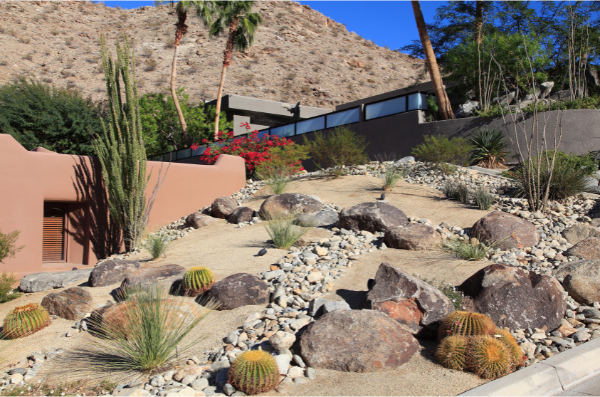 desert landscape
